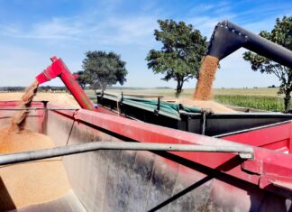 Ciągły rozwój i inwestycje w gospodarstwo