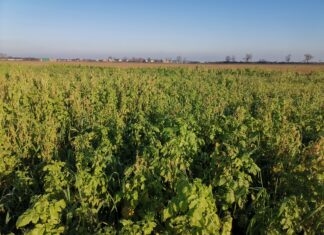 Zadbaj o glebę w dobie zmian klimatu!