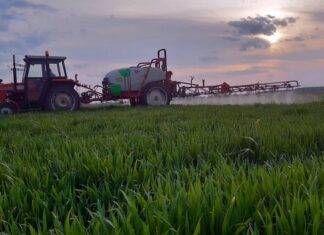 Wpływ intensyfikacji rolnictwa na środowisko naturalne