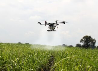 Poznaj świat Agrokultury – wprowadzenie