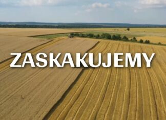 Edukujemy – inspirujemy – motywujemy