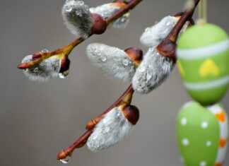 Niedziela Palmowa w polskiej kulturze i zwyczajach