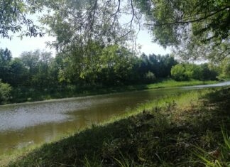 Ludowa mądrość w nowych czasach