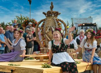 Podziękowania za plon – polskie tradycje dożynkowe