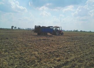 Właściwie stosuj obornik