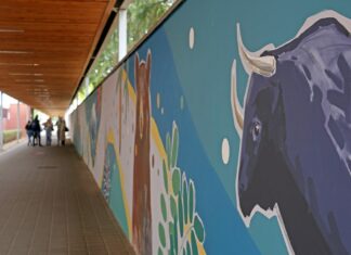 Historia zamknięta w muralu – nowa atrakcja na Kampusie UPP!