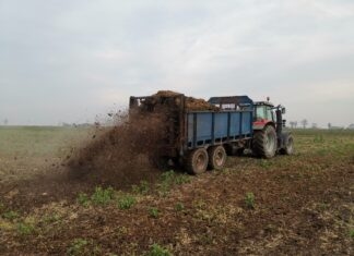 Oszczędność nawozów to dobrze zbilansowane składniki pokarmowe!
