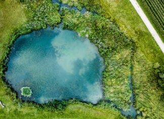 Krajowy Plan Strategiczny dla WPR – przegląd zysków i strat (cz. I)