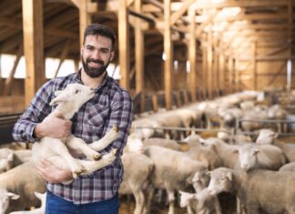 150 tys. zł premii dla młodych rolników – niedługo rusza nabór!