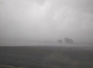 Burze piaskowe degradują glebę