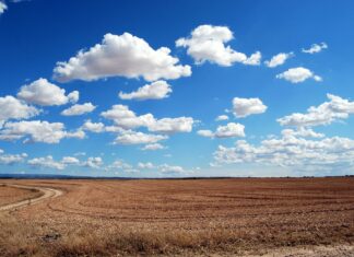 Dzień Ziemi, naszej Ziemi