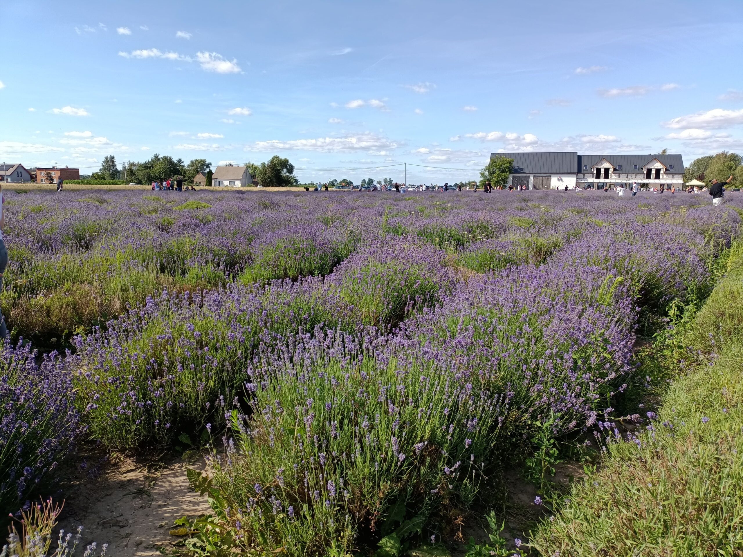 IMG20220717161441-min