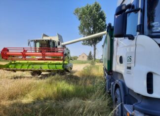 Nieuczciwy kontrahent