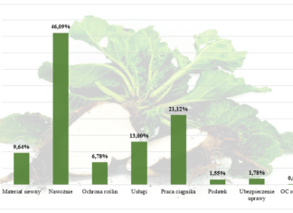 Aktualny stan na rynku buraka cukrowego