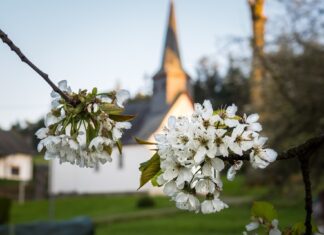 Kwietny szlak polskiej wiary i kultury