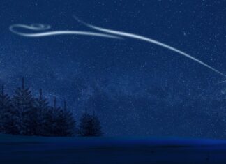 Tradycja i symbole okresu Bożego Narodzenia