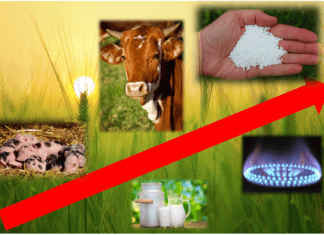 Sytuacja ekonomiczna w polskim rolnictwie