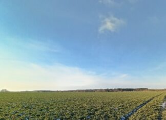 Ekoschematy, czyli jeden z elementów Krajowego Planu Strategicznego cz. I