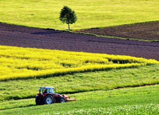 Rolnictwo regeneratywne