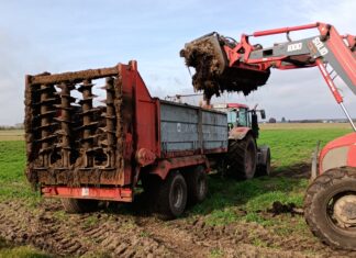 Ekoschematy, czyli jeden z elementów Krajowego Planu Strategicznego. Cz. II