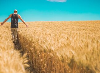 15 maja – patronalne święto rolników