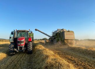 Żniwa – okres, który kocham i nienawidzę…