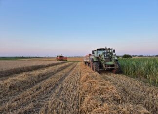 Sierpień – koniec żniw.. ale dokumenty czekają!