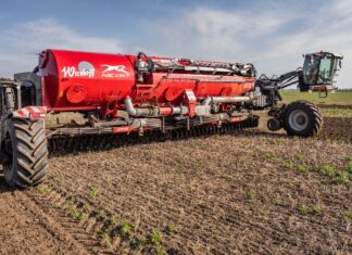 Nexat nadal imponuje