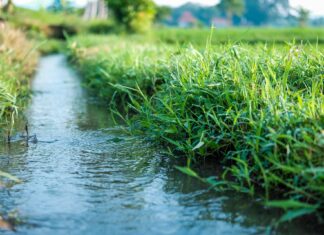 Ministerialne strategie walki z suszą Cała nadzieja w retencji