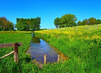 Ministerstwo Klimatu na froncie walki z suszą rzeczka przy łące