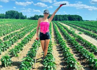 Z Mrs. Rolnikową o pasji do rolnictwa Karolina na swoim polu truskawek