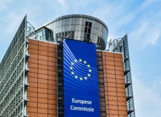 Polska prezydencja w Radzie Unii Europejskiej, Ukraina i WPR Polska prezydencja