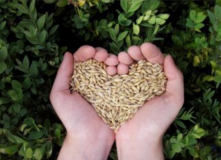 Lato i wakacje na polskiej wsi