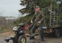 Choinkowe żniwa. Agrokultura z wizytą na plantacji świerków