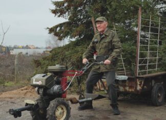 Choinkowe żniwa. Agrokultura z wizytą na plantacji świerków