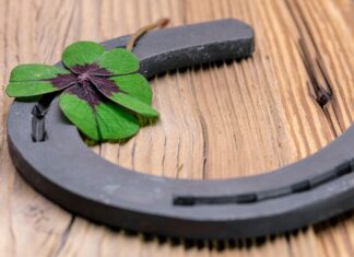 Rolniku, w nowym roku zadbaj o swój dobrostan!