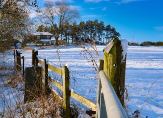 Konferencja w Zagrodzie Szczęśliwych Zwierząt: rolnictwo wobec zmian klimatu