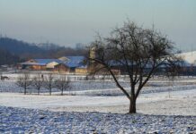 Styczeń – Nowy Rok, nowe zmiany?