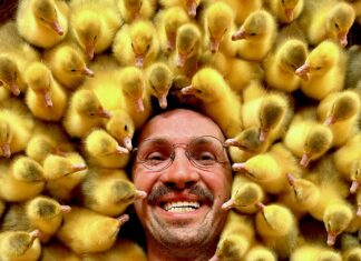 Wszystko trzeba policzyć! Rozmawiamy z Arkadiuszem Tomke o prowadzeniu eko gospodarstwa i hodowli gęsi