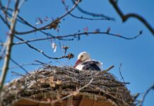 Kwiecień plecień, bo przeplata trochę zimy, trochę lata