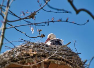 Kwiecień plecień, bo przeplata trochę zimy, trochę lata