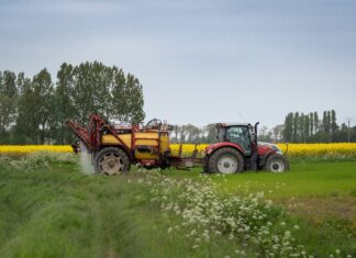 Czy to naprawdę ostatni nabór na Młodego Rolnika? Czerwiec pełen terminów i emocji …