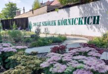 Szkółki Kórnickie – historia pisana zielenią
