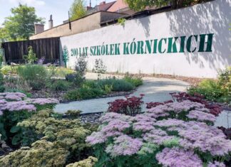 Szkółki Kórnickie – historia pisana zielenią