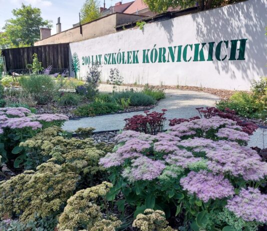 Szkółki Kórnickie – historia pisana zielenią
