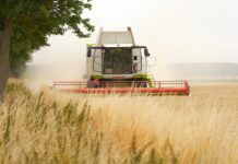 Sierpień 2026 – żniwa trwają, ale o dokumentach nie można zapominać!