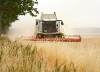 Sierpień 2026 – żniwa trwają, ale o dokumentach nie można zapominać!