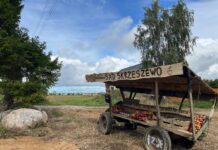 Samoobsługowy punkt sprzedaży owoców