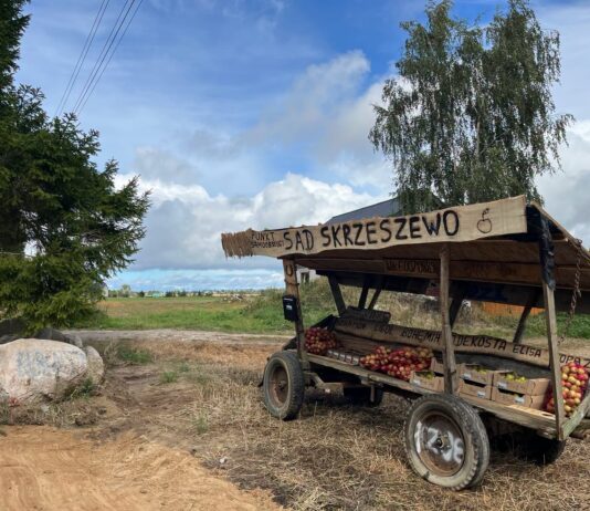 Samoobsługowy punkt sprzedaży owoców